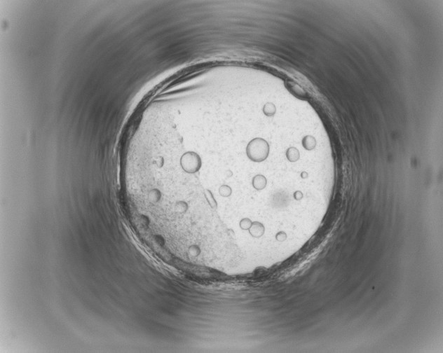 X0000085270838200704092138