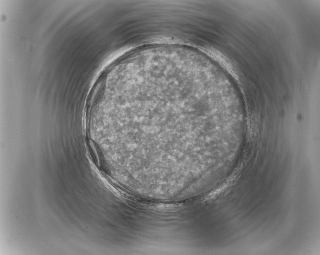 X0000085270839200704092138