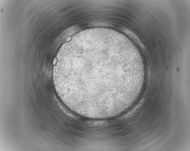 X0000085270841200704092138