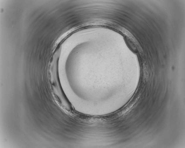 X0000085270842200704092138