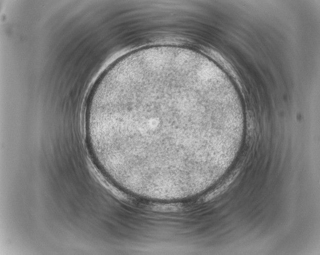 X0000085270843200704092138