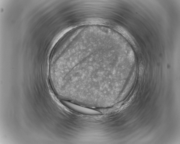 X0000085270844200704092138