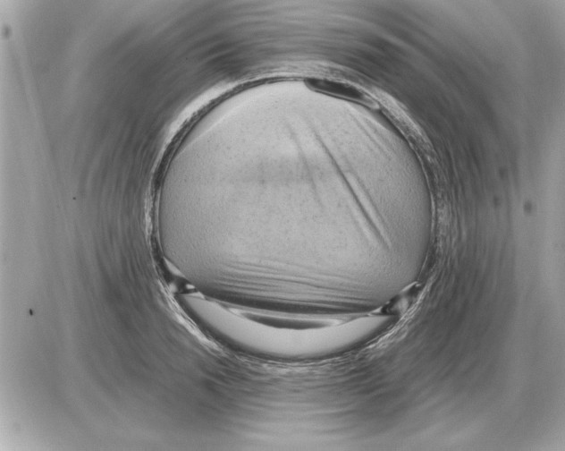 X0000085270846200704092138