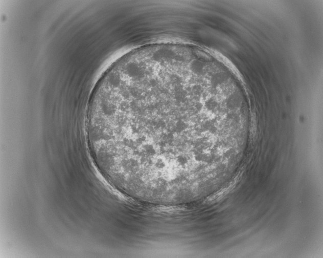 X0000085270847200704092138