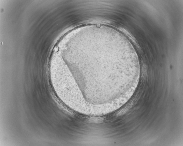 X0000085270848200704092138