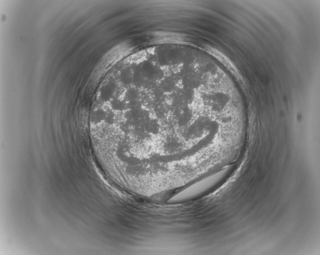 X0000085270849200704092138