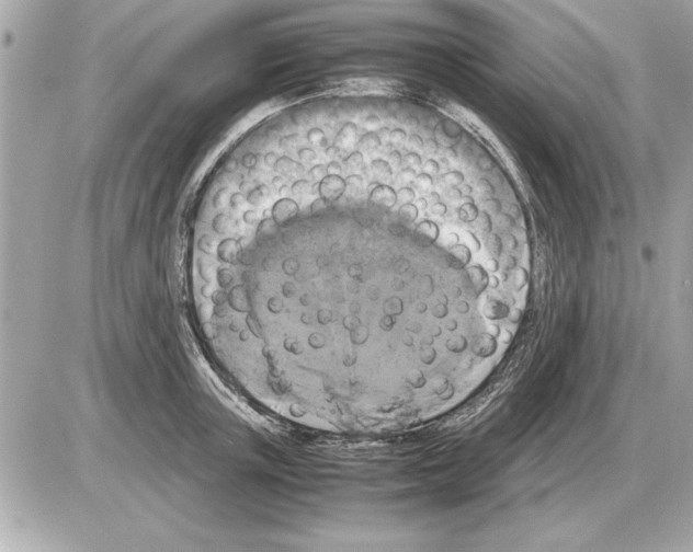 X0000085270851200704092138