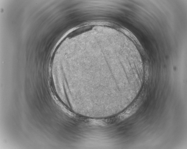 X0000085270852200704092138