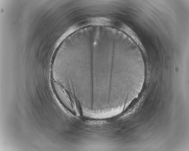 X0000085270853200704092138