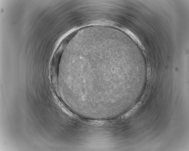 X0000085270854200704092138