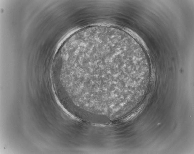 X0000085270855200704092138