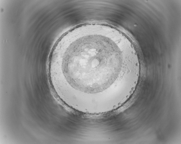 X0000085270856200704092138