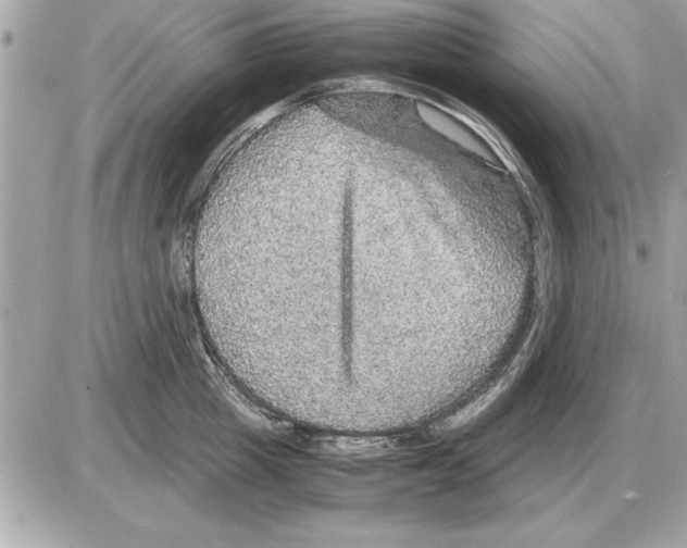 X0000085270857200704092138