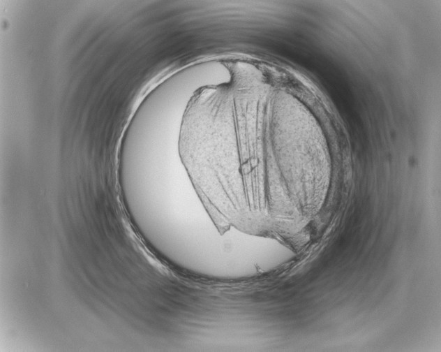 X0000085270858200704092138