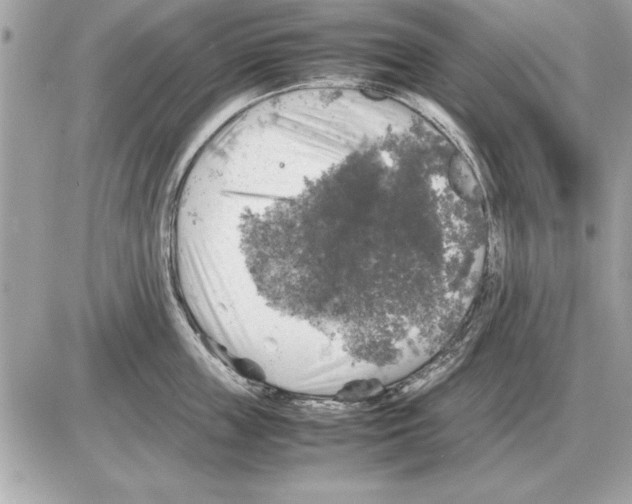 X0000085270859200704092138