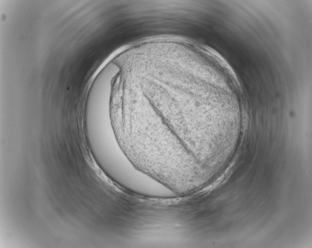 X0000085270860200704092138