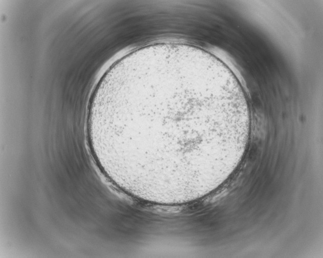 X0000085270861200704092138