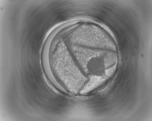 X0000085270862200704092138