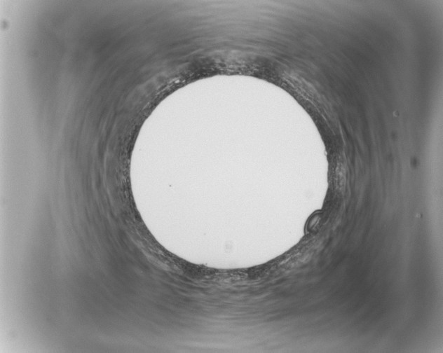 X0000085270865200704092137