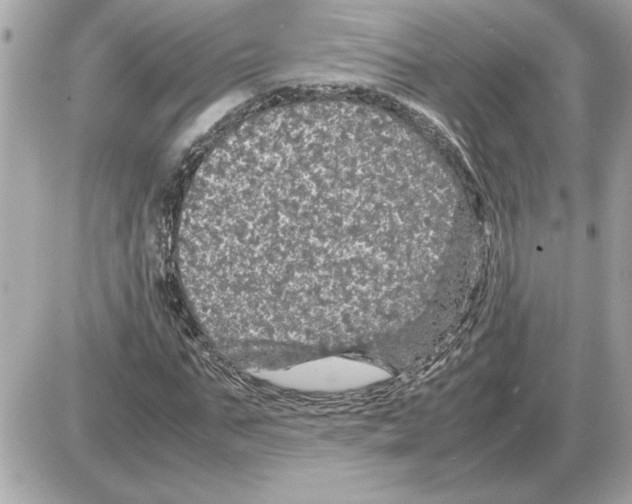 X0000085270871200704092137