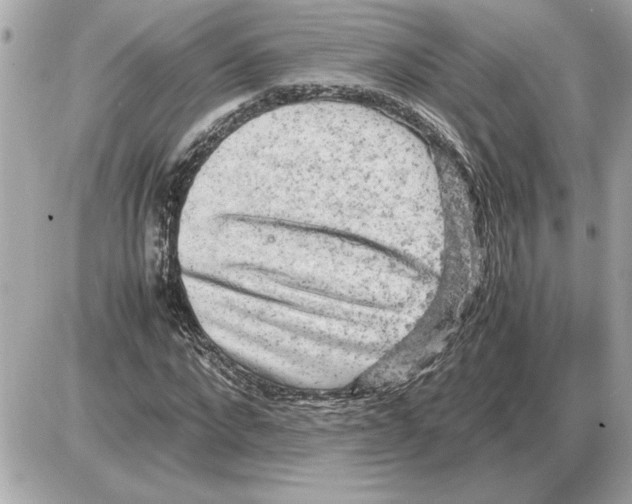 X0000085270872200704092137