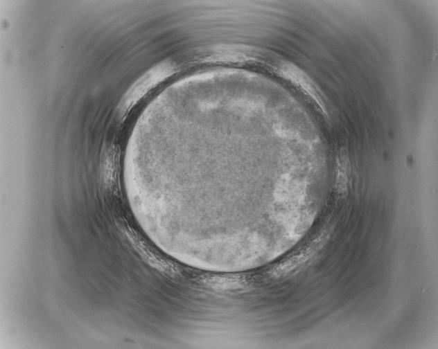 X0000085270874200704092137