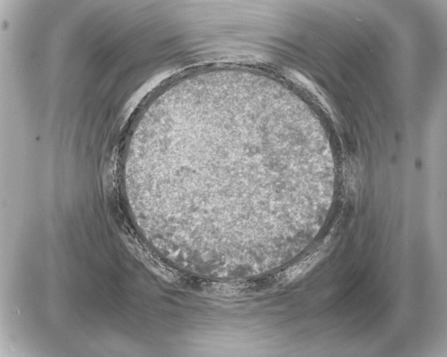 X0000085270875200704092137