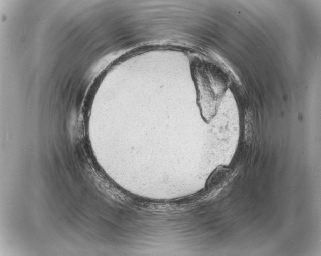 X0000085270876200704092137