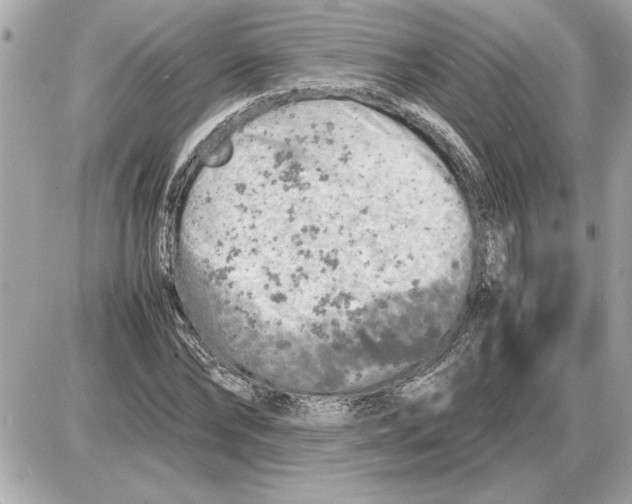 X0000085270878200704092137