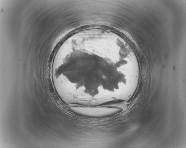 X0000085270879200704092137