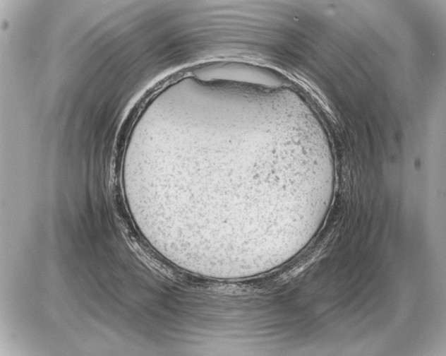 X0000085270880200704092137