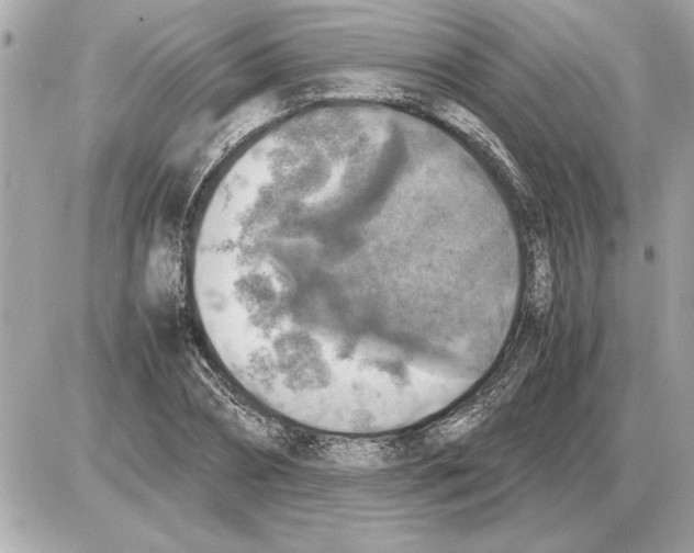 X0000085270882200704092137