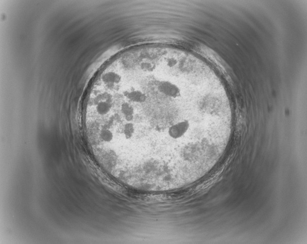 X0000085270883200704092137