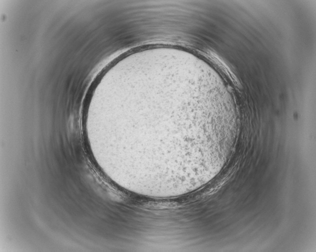 X0000085270884200704092137