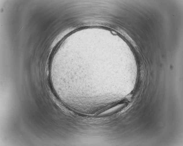 X0000085270885200704092137