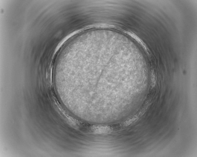 X0000085270886200704092137