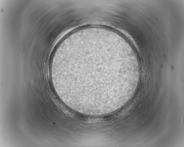 X0000085270887200704092137