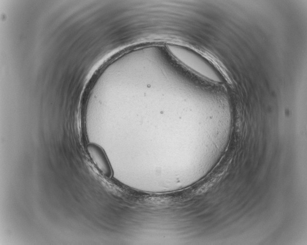 X0000085270888200704092137