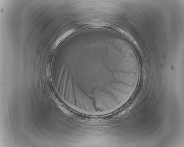 X0000085270889200704092137