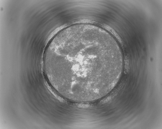 X0000085270890200704092137