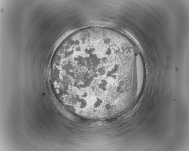 X0000085270891200704092137