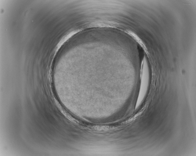 X0000085270893200704092137