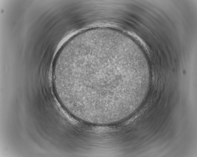 X0000085270894200704092137