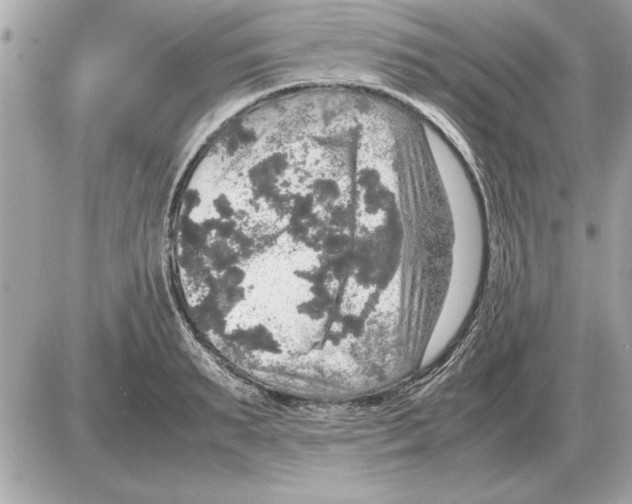 X0000085270895200704092137