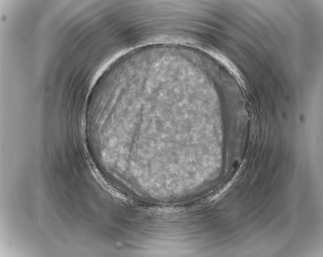 X0000085270896200704092137