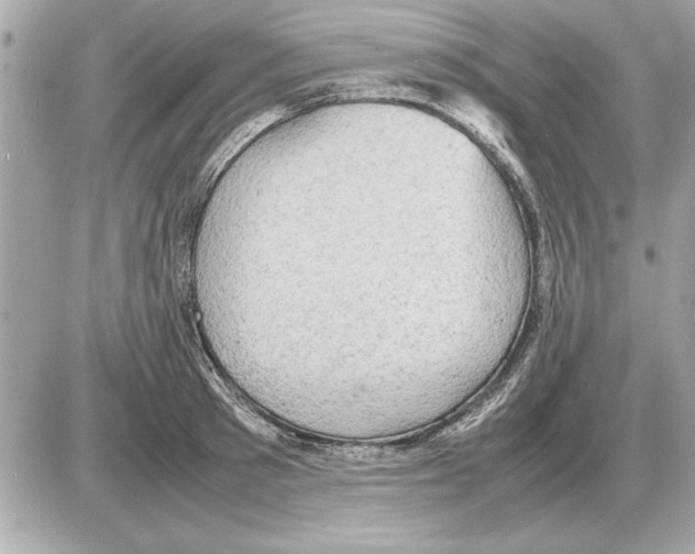 X0000085270897200704092137