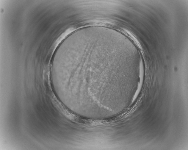 X0000085270899200704092137