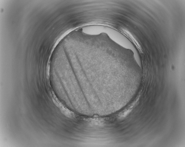 X0000085270900200704092137