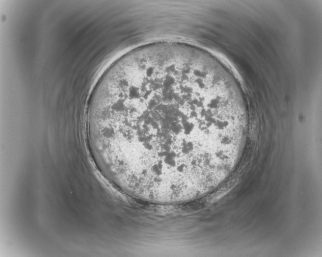 X0000085270903200704092137