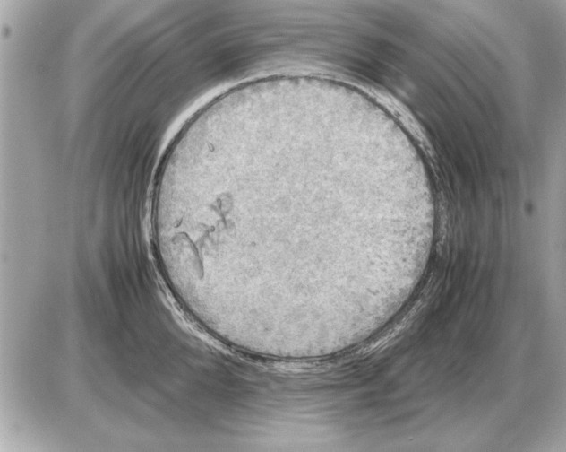 X0000085270904200704092137